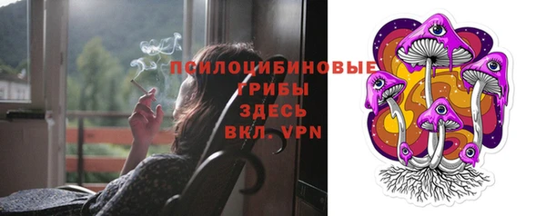 спиды Горно-Алтайск