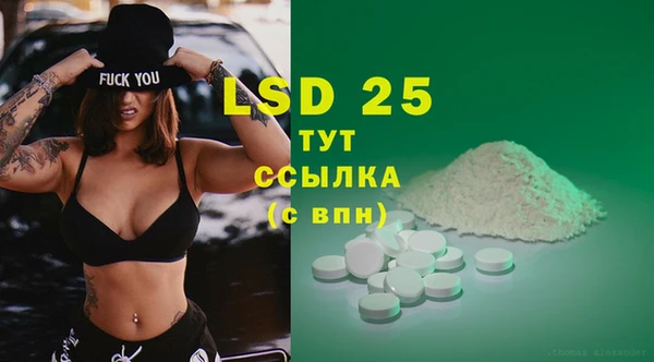 мяу мяу мука Горняк