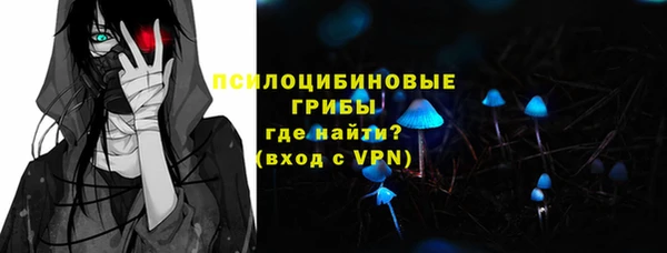 мяу мяу мука Горняк