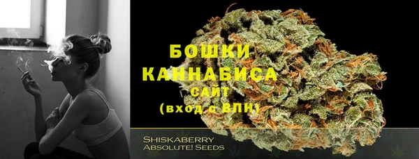 спиды Горно-Алтайск
