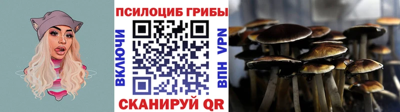 Галлюциногенные грибы мицелий  Дубовка 